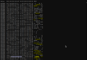 Proof of swiftcord using claude from a plugin.png